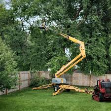 Landscape Design and Installation in Cedar Bluff, VA